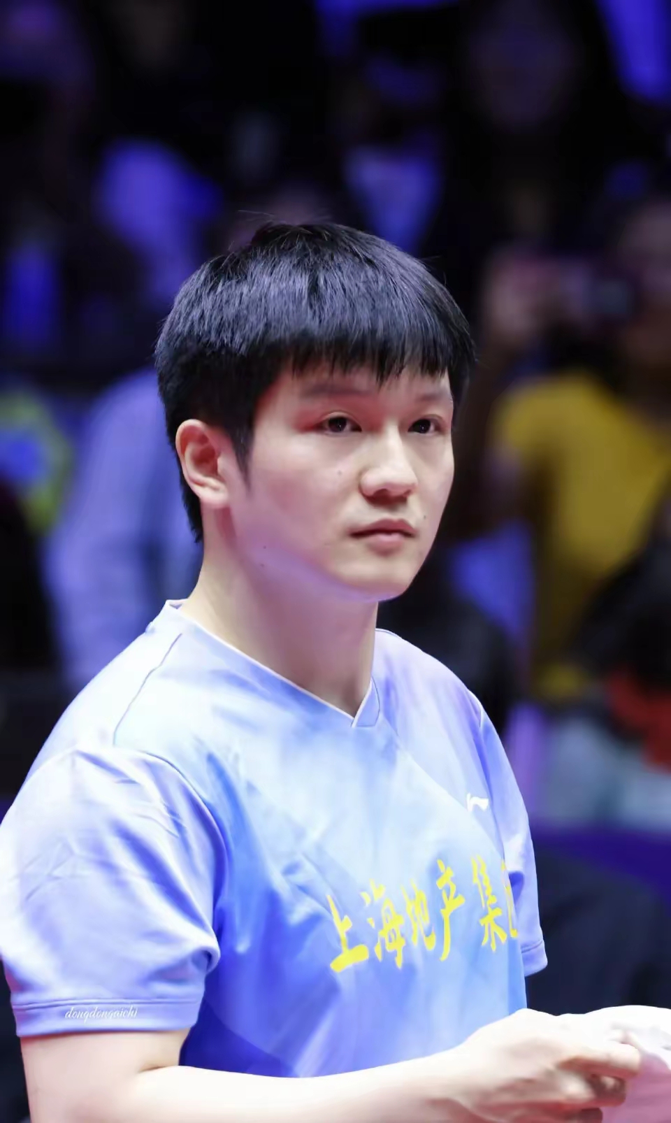 波兰队完胜韩国队，樊振东点燃赛场