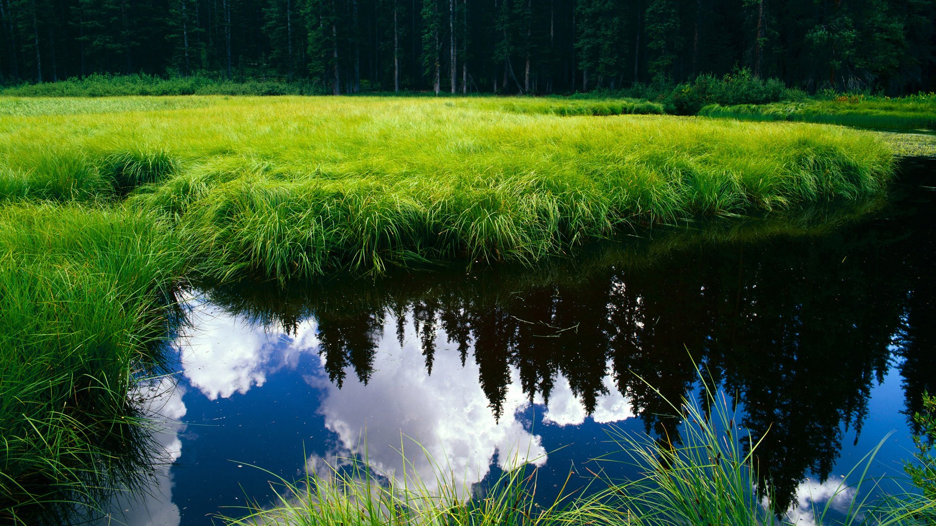 当篮球的雷霆劈入足球的英超，约基奇的冠军意志正跨越维度燃烧