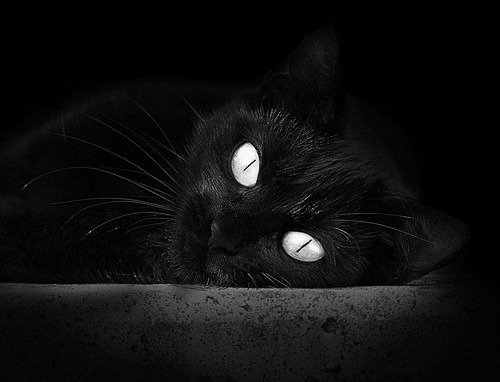 月光下的棋手，卡马文加如何用两道寒芒划破德甲争冠之夜