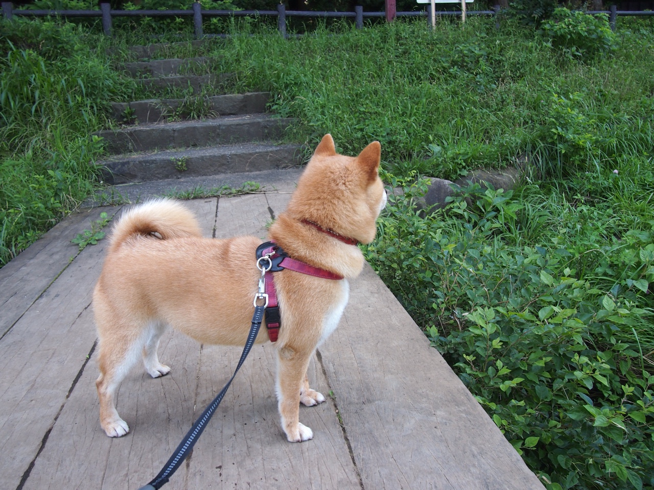 尘埃落定，传奇之夜，委内瑞拉提前终结悬念，巴雷拉铸就百场里程碑