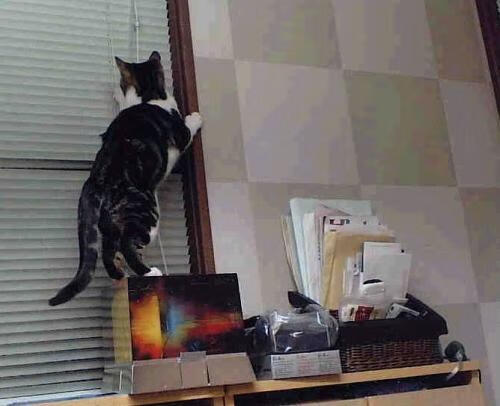 恒星引力，当唯一性统治星系战场，独行侠如何借太阳余晖涅槃