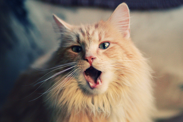 沉默的火山，西决生死夜，塔图姆在嘘声中完成了篮球最安静的复仇