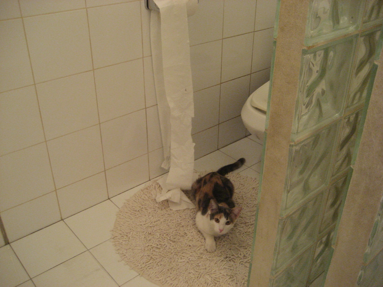 东决?西决!火箭窒息防守22分屠戮雷霆,系列赛天平彻底倾斜