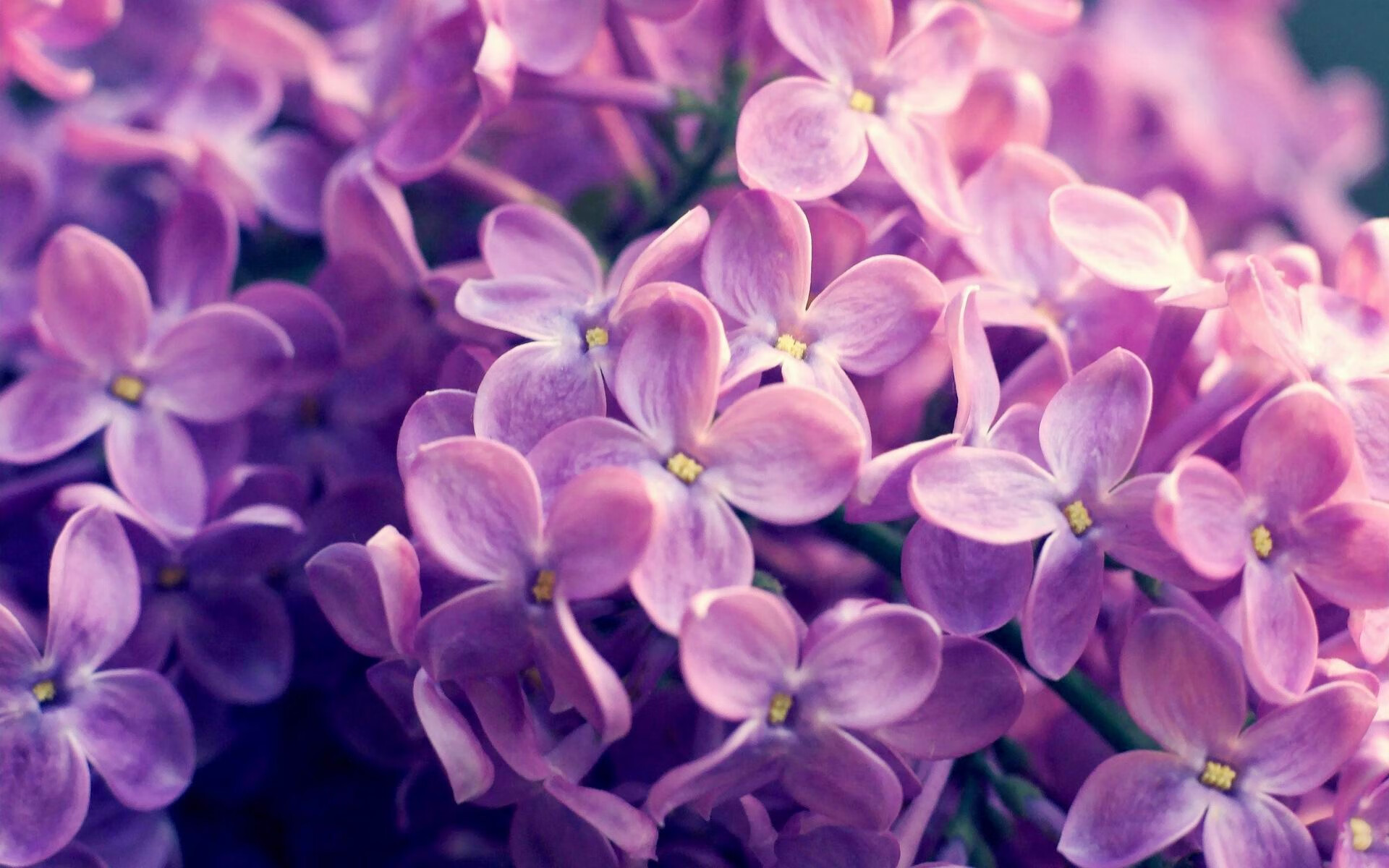 传奇之夜,当世界排名系于一人,坎特打出生涯最强音