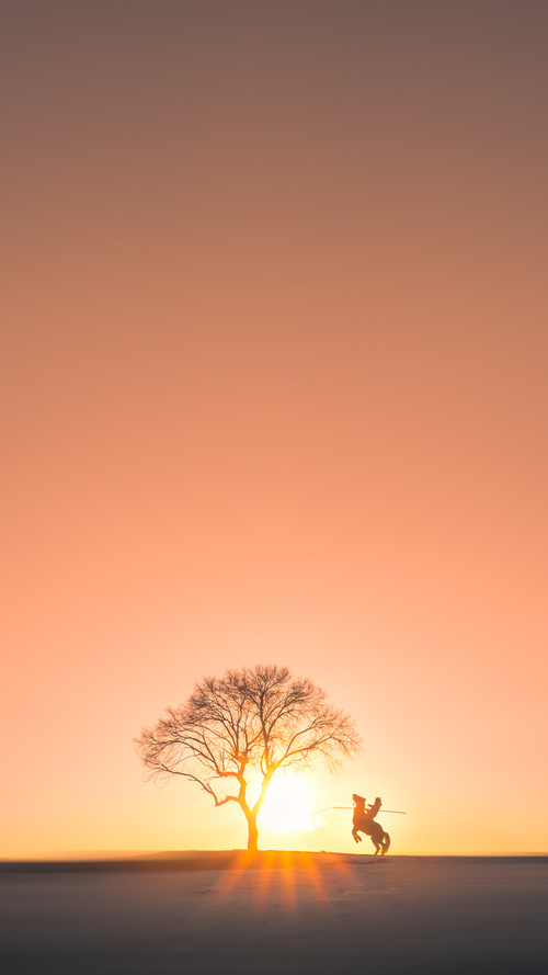 舞台越大，佩德里越强，葡萄牙对决法国，新星闪耀欧洲之巅