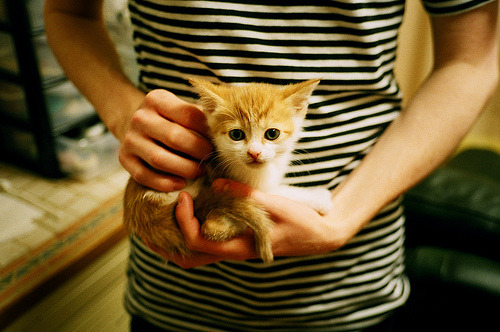 屏障与利刃，阿坎吉式德比哲学