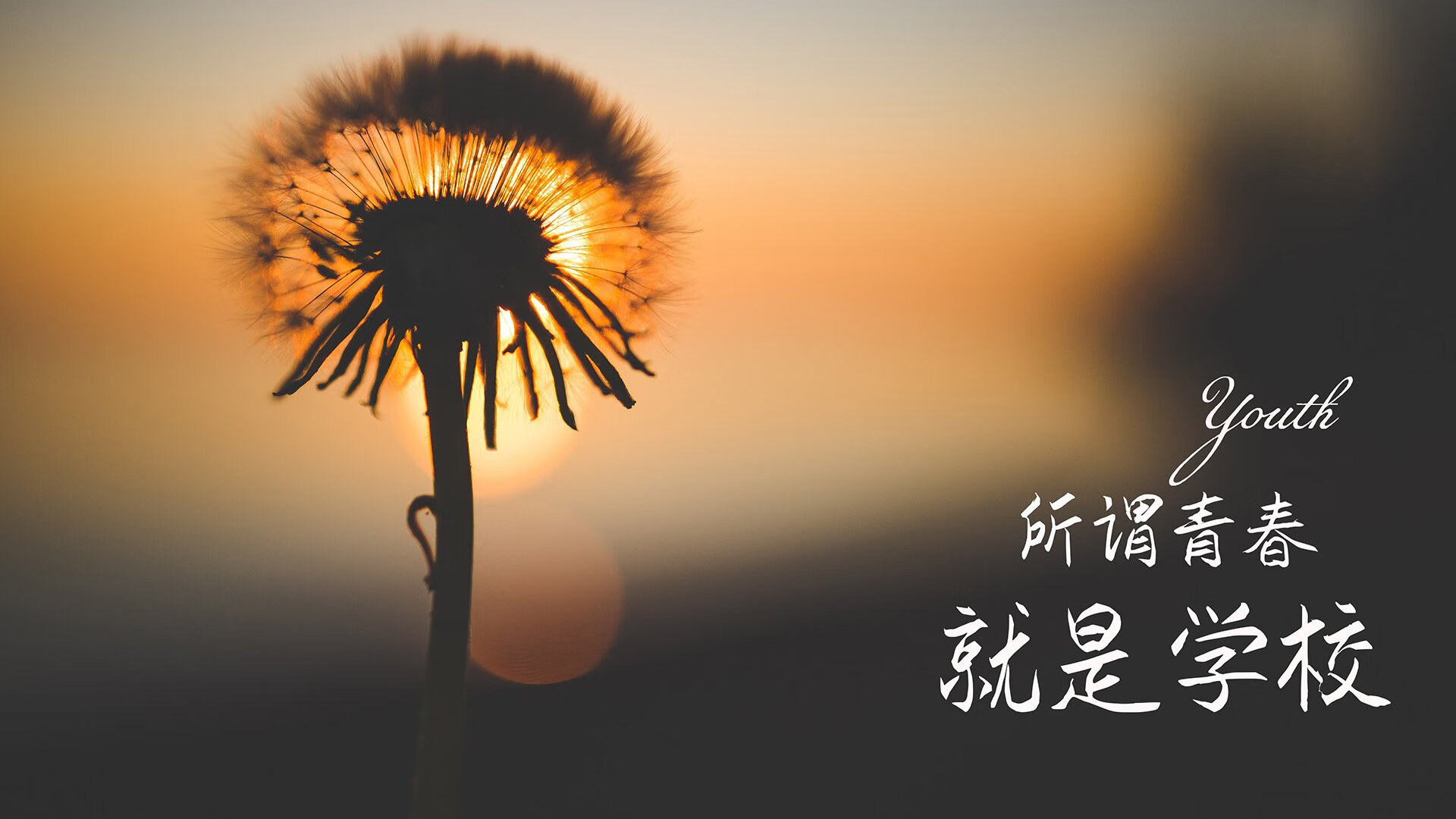 毫秒间的神迹,贝恩关键回合不手软,雷霆绝杀深圳队