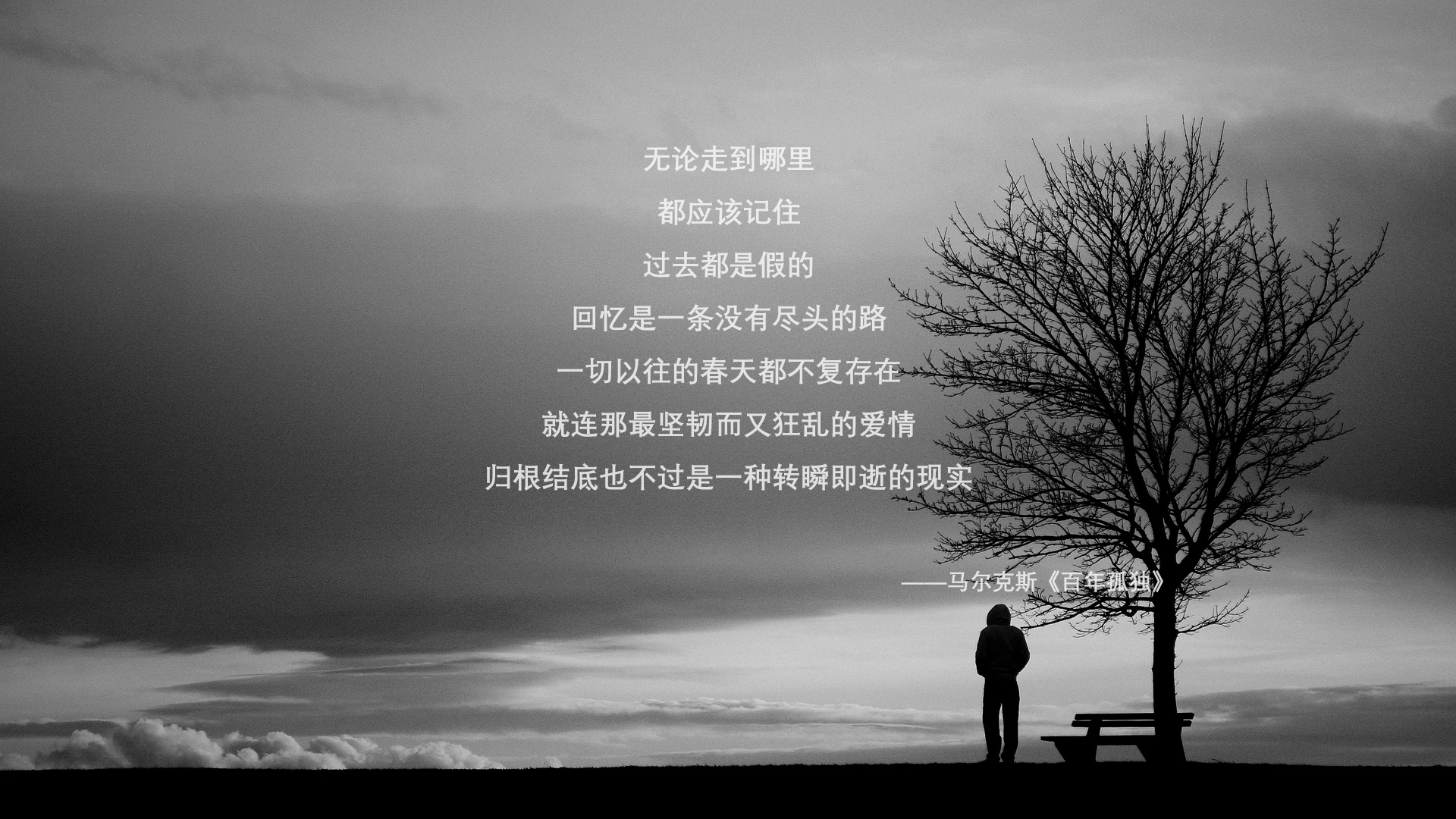 唯一性闪耀,霍勒迪的爆发助力开拓者强势晋级掘金
