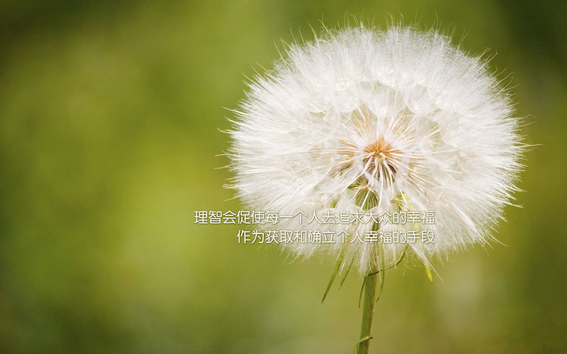 孤星闪耀难敌南天一柱，费利克斯独舞下的葡萄牙崩塌，澳大利亚如何用最反直觉的方式横扫D组焦点战