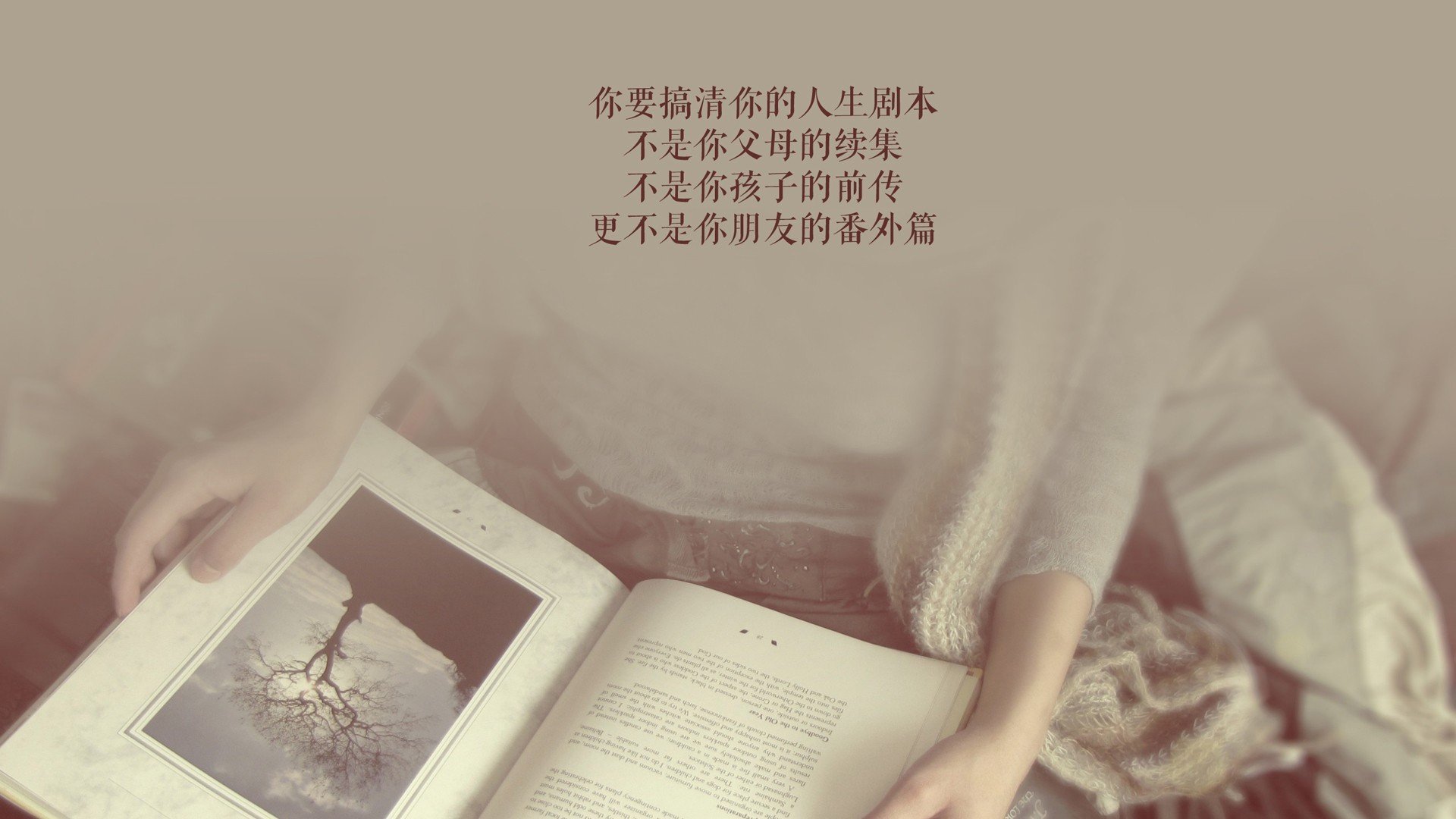 被孤独托举的屠龙者，努涅斯与塞尔维亚在2026世界杯A组的唯一性胜利