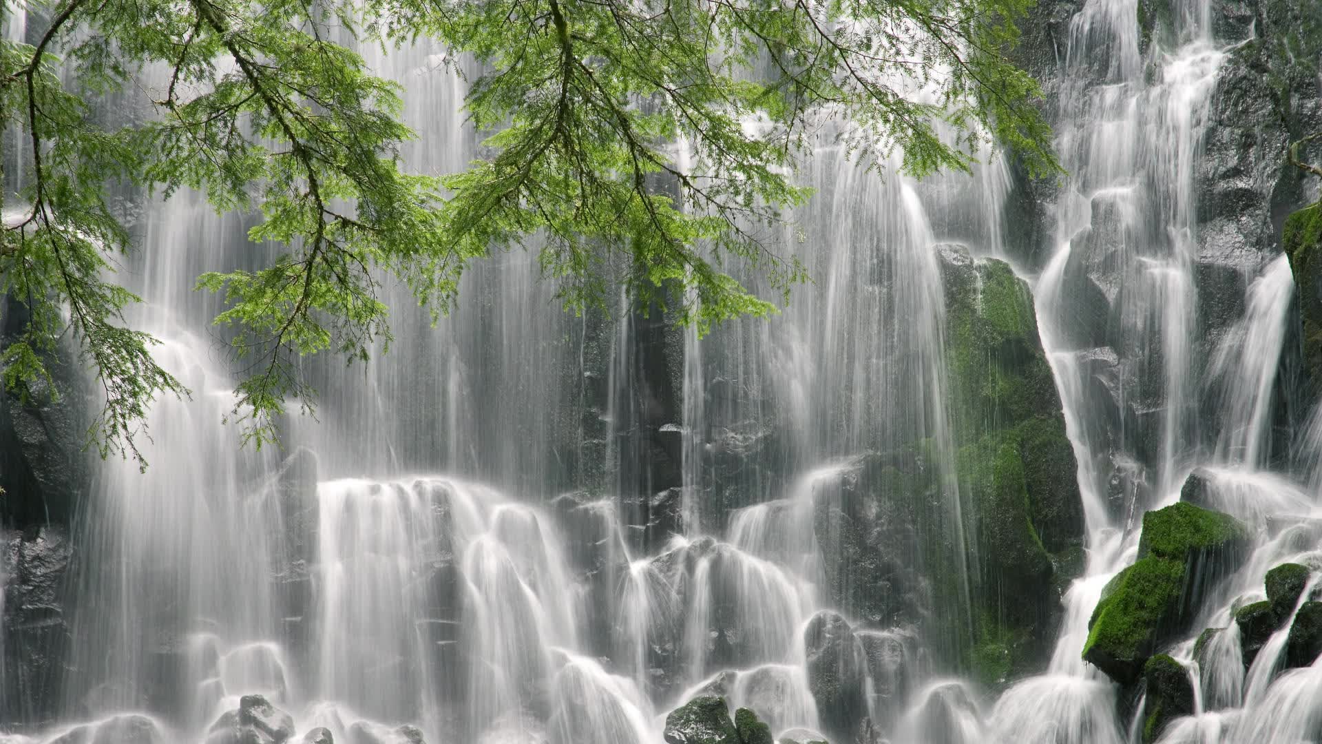 新王的试炼与旧神的黄昏，2026世界杯，C罗的致命一击如何改写了欧洲足球的权力版图